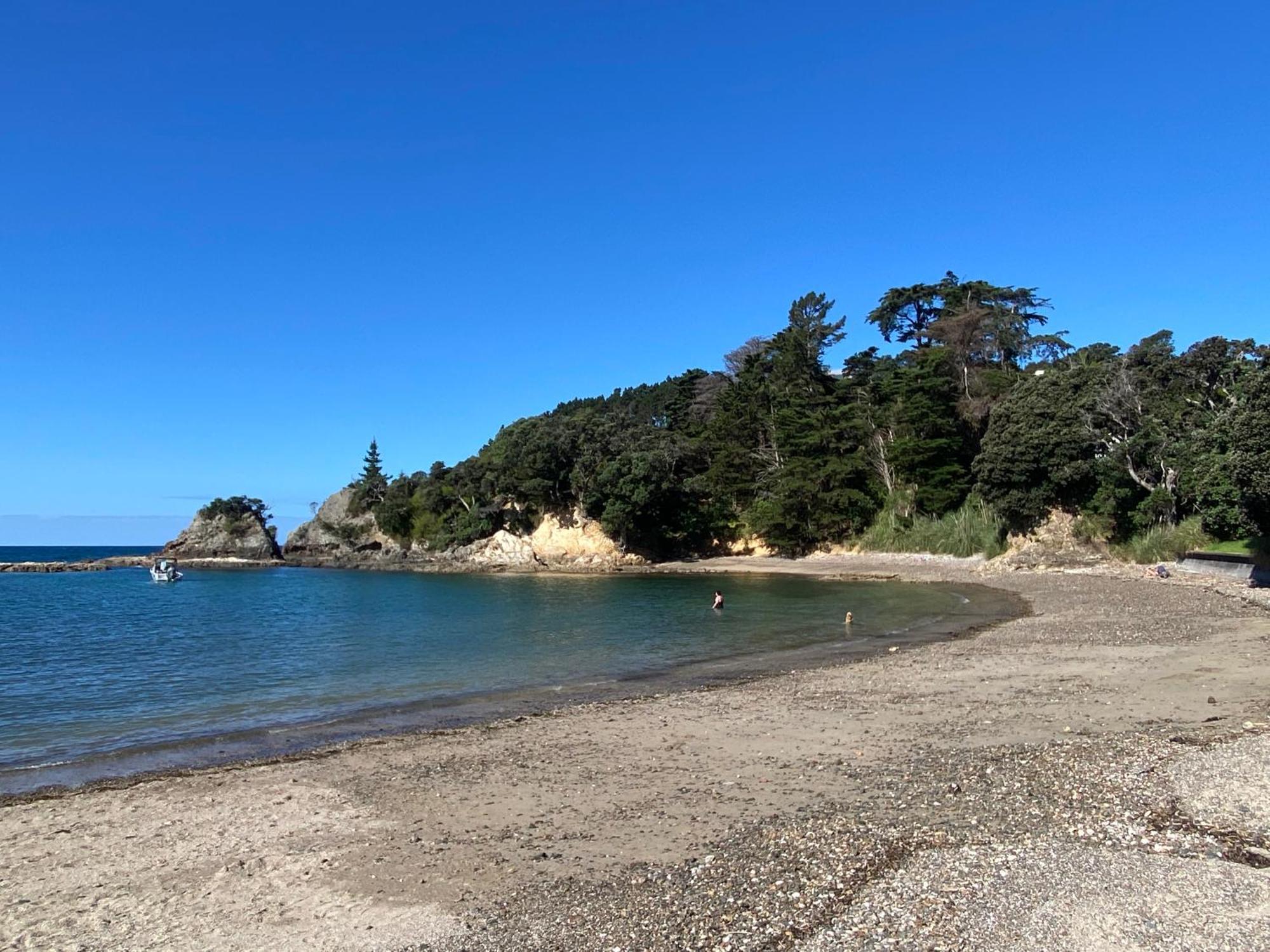 Kereru Cabin - Spectacular Seaviews, Rustic, Glamping Eco Adventure Palm Beach Bagian luar foto
