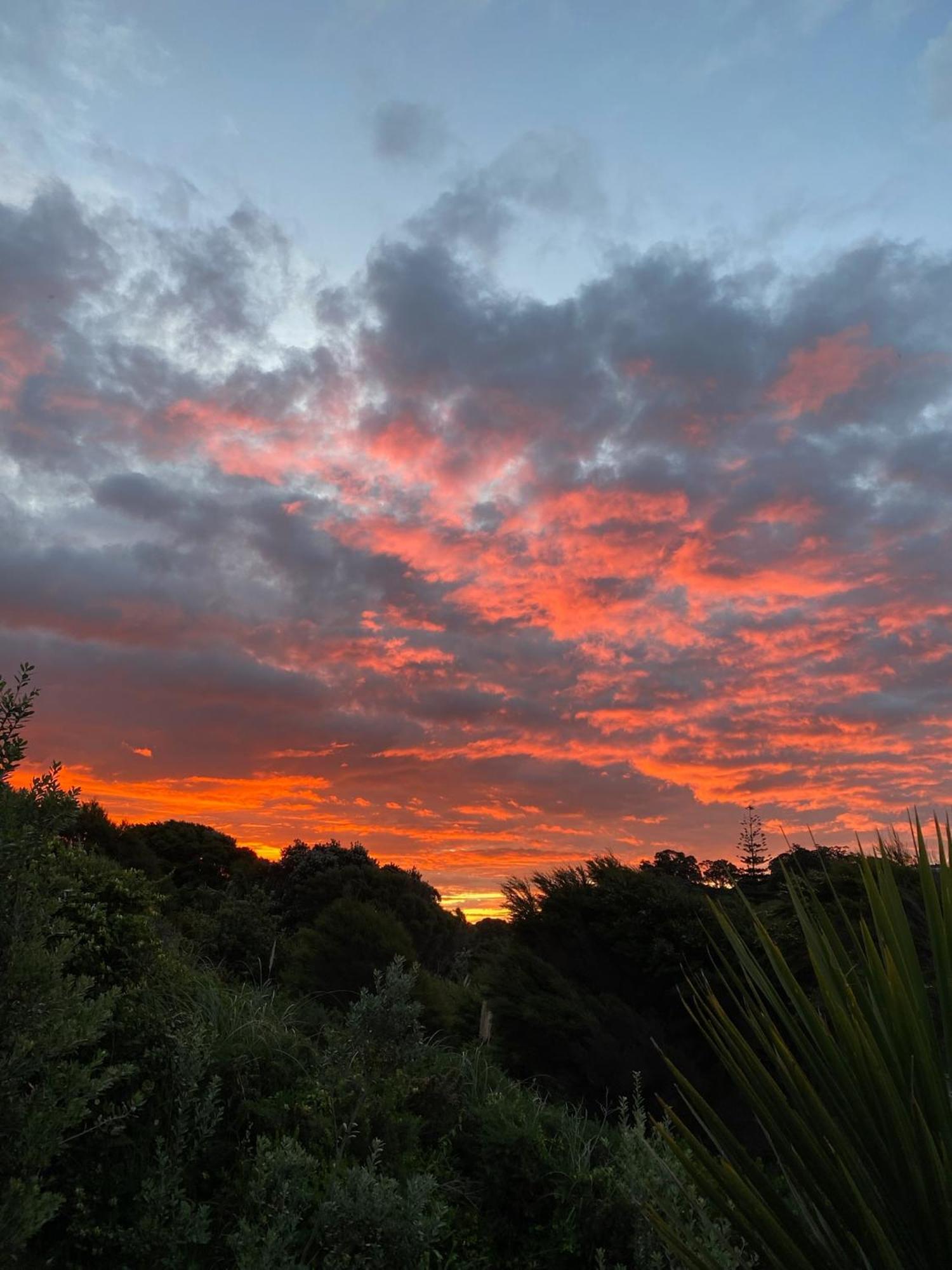 Kereru Cabin - Spectacular Seaviews, Rustic, Glamping Eco Adventure Palm Beach Bagian luar foto