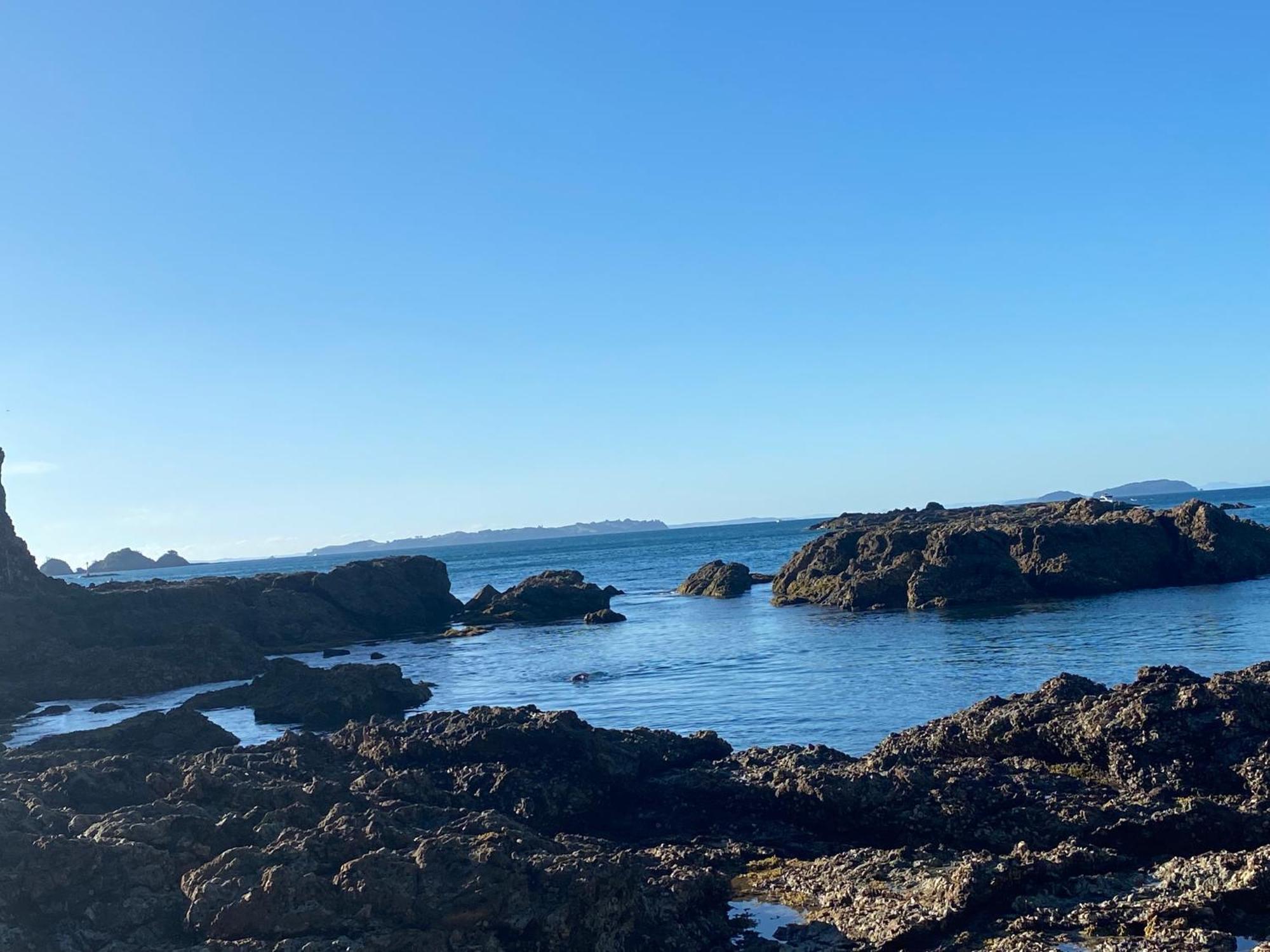 Kereru Cabin - Spectacular Seaviews, Rustic, Glamping Eco Adventure Palm Beach Bagian luar foto