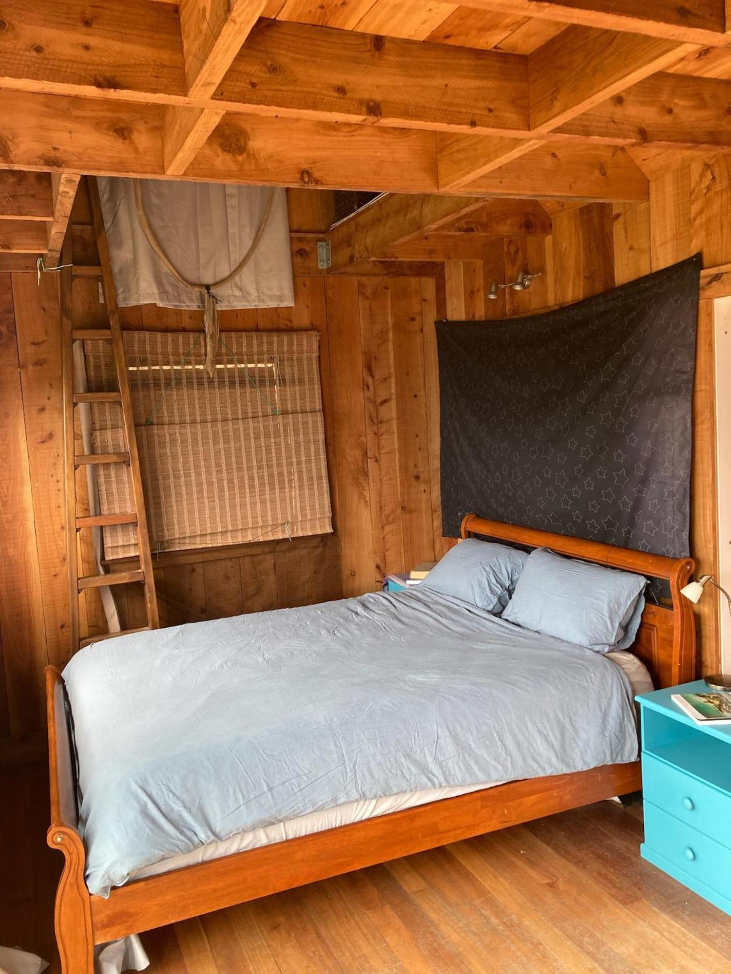 Kereru Cabin - Spectacular Seaviews, Rustic, Glamping Eco Adventure Palm Beach Bagian luar foto